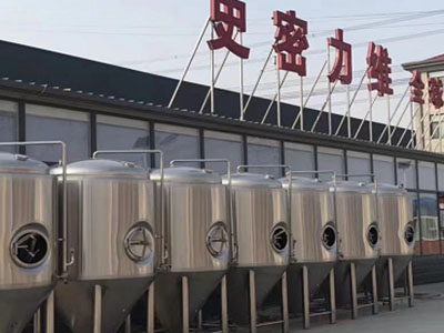 泰宁精酿啤酒设备厂—如何判断精酿啤酒设备的密封件需要更换？